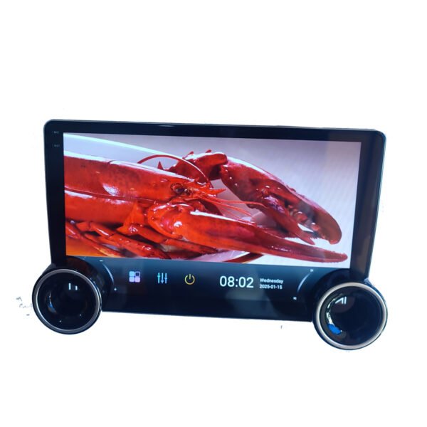 Android Car Screen With Nubs